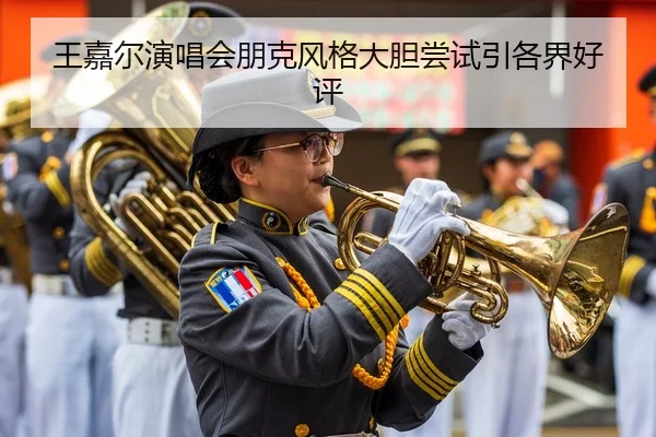 wang-jia-er-yan-chang-hui-peng-ke-feng-ge-da-dan-chang-shi-yin-ge-jie-hao-ping-1-517.jpg